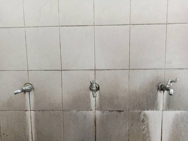 Best Sewage cleanup and water damage restoration  in Canonsburg, PA