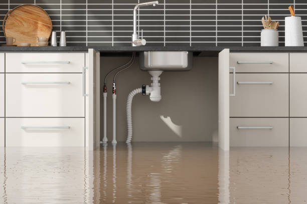 Best Professional water damage repair  in Canonsburg, PA