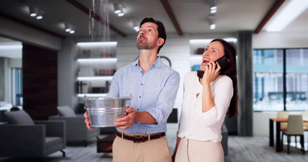 Water damage restoration mold remediation in Canonsburg, PA